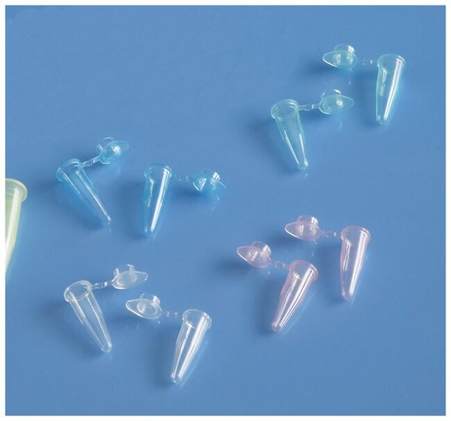 МІКРОПРОБІРКА FISHERBRAND™, 0.2 МЛ, ІЗ ПЛАСКОЮ КРИШКОЮ, ПЛР